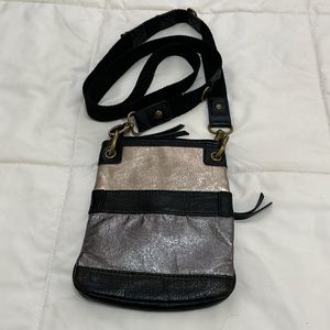 The Sak Metallic Purse